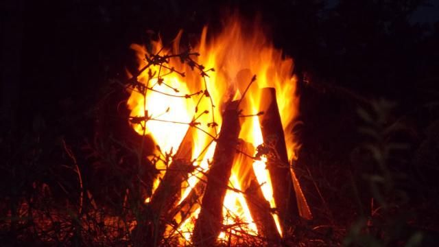 Ученые назвали причину появления туберкулеза Ученые назвали причину появления туберкулеза