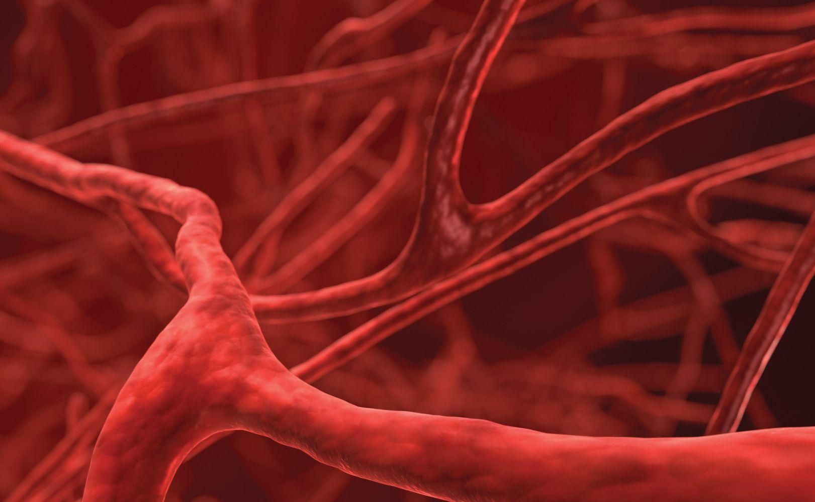 Нове дослідження: ліки у судинах людини допоможуть поширювати нанороботи Нове дослідження: ліки у судинах людини допоможуть поширювати нанороботи