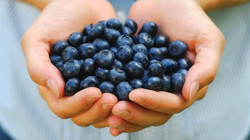 7 полезных продуктов, которые помогают сжигать жиры