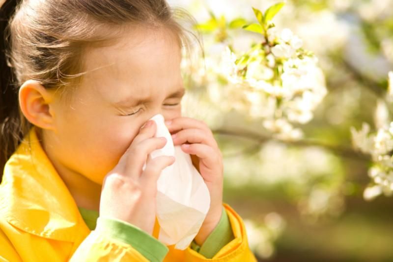 Действенные народные способы преодолеть аллергию