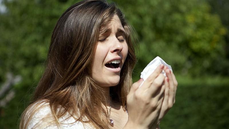 Как спастись от сезонной аллергии без лекарств: полезные методы Как спастись от сезонной аллергии без лекарств: полезные методы