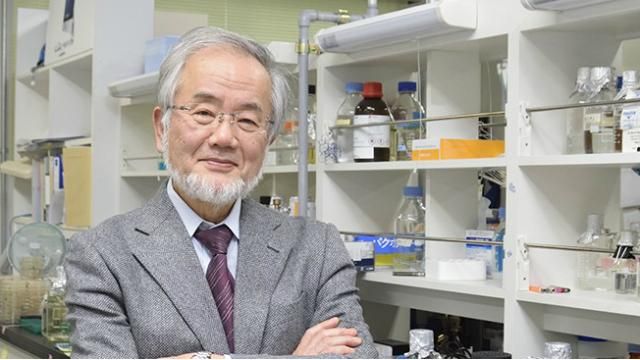 Стало відомо, хто отримав Нобелівську премію у сфері медицини Стало відомо, хто отримав Нобелівську премію у сфері медицини