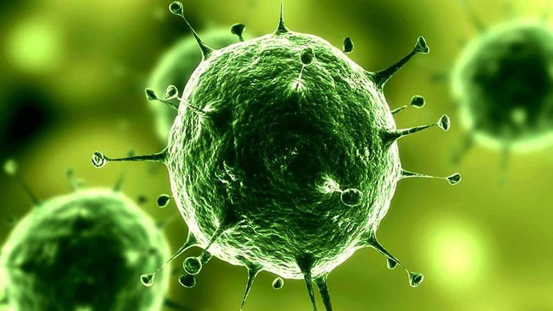 Ученые наглядно показали, почему нельзя долго лечиться антибиотиками Ученые наглядно показали, почему нельзя долго лечиться антибиотиками