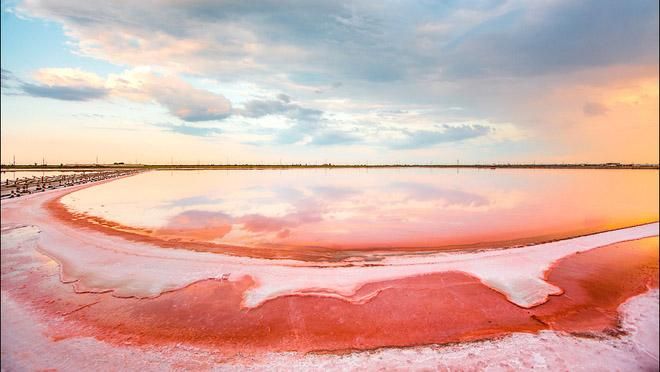 Чем поражает розовый плес украинского Мертвого моря Чем поражает розовый плес украинского Мертвого моря