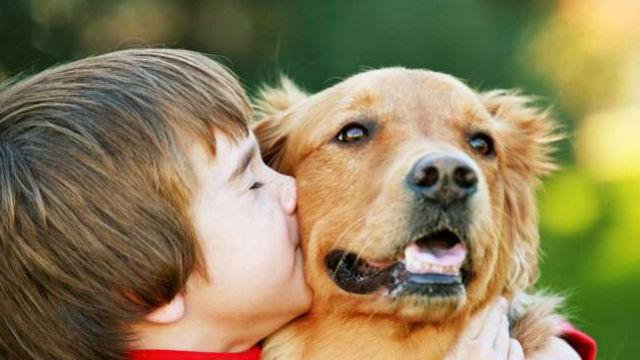 Некоторые животные помогают хозяевам преодолеть опасные болезни