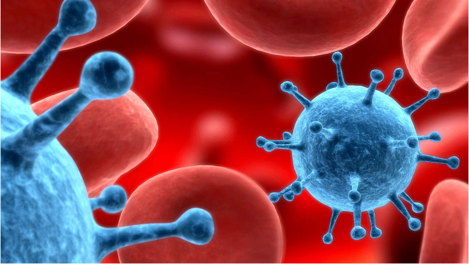 Израильские ученые тестируют лекарства, которые могут перевернуть мир медицины