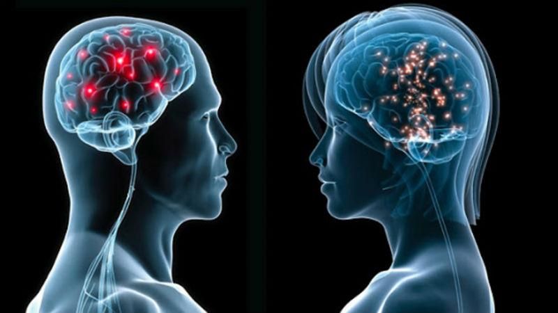 Чим відрізняється чоловічий і жіночий мозки – деякі пункти вас здивують 