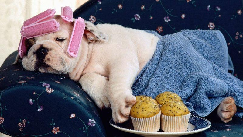 Как побороть лень: эффективные правила, которые вам помогут