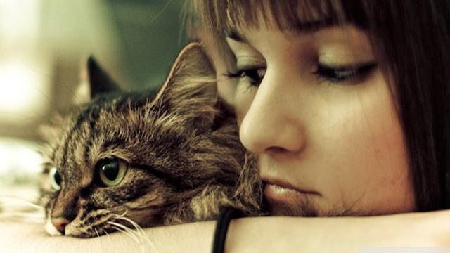 Почему у женщин часто отсутствует настроение, – версия психологов