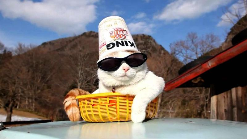 Как насладиться отпуском даже дома: 7 действенных советов