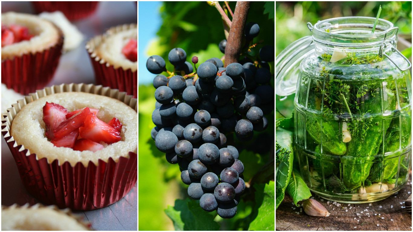 Продукты, которыми категорически нельзя закусывать алкоголь: некоторые вас удивят