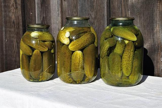 Что будет с мозгом, если месяц подряд кушать соленые огурцы