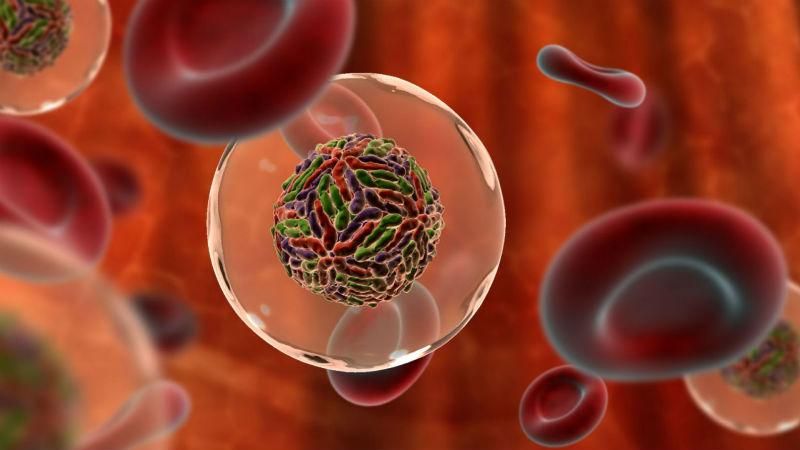 В окупованому Донецьку заражають небезпечним вірусом В окупованому Донецьку заражають небезпечним вірусом