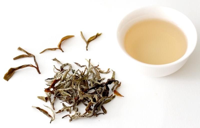 Почему полезно пить белый чай: убедительные аргументы