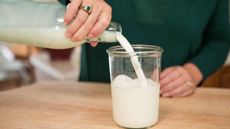 Шесть продуктов для здорового кишечника