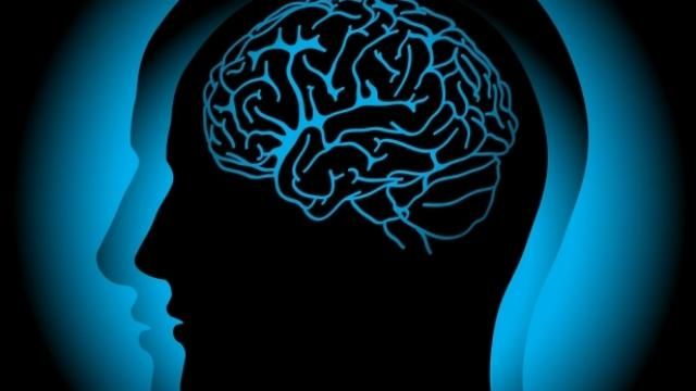 Человеческий мозг может производить ядовитое вещество для организма, – ученые