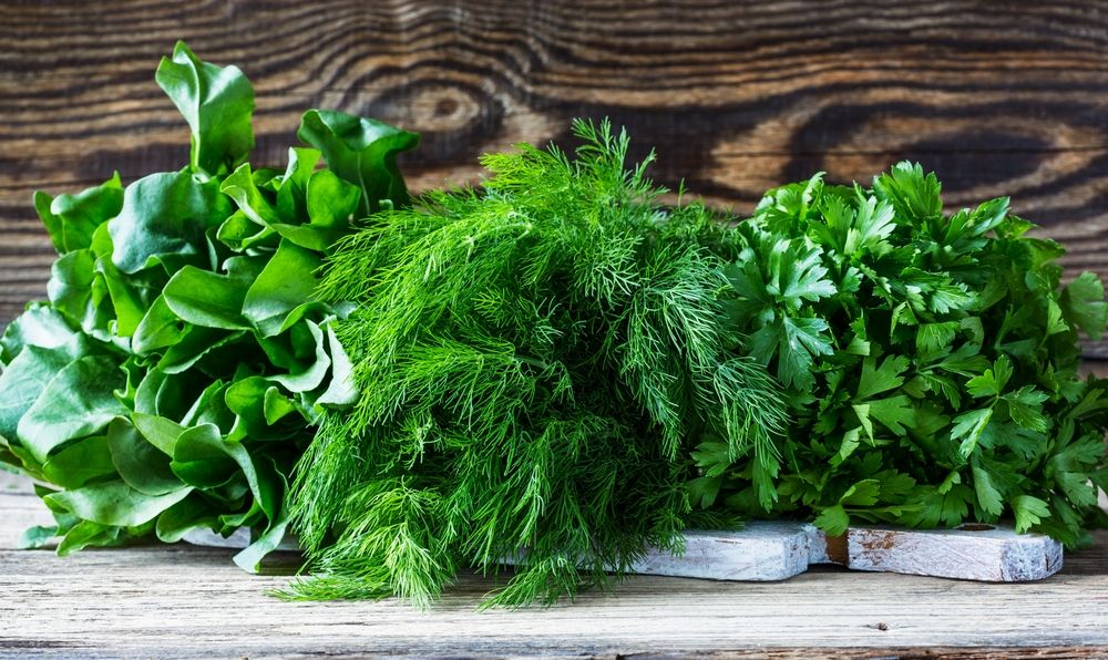Три вида зелени, которые следует употреблять весной