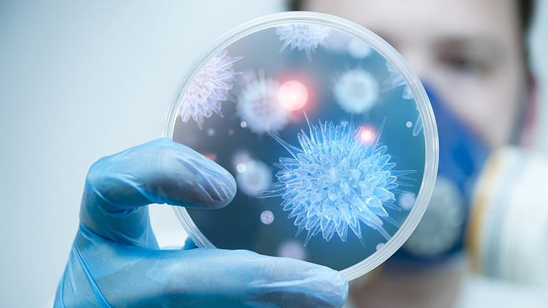 Украинские биологи нашли лекарство от рака, – ученый