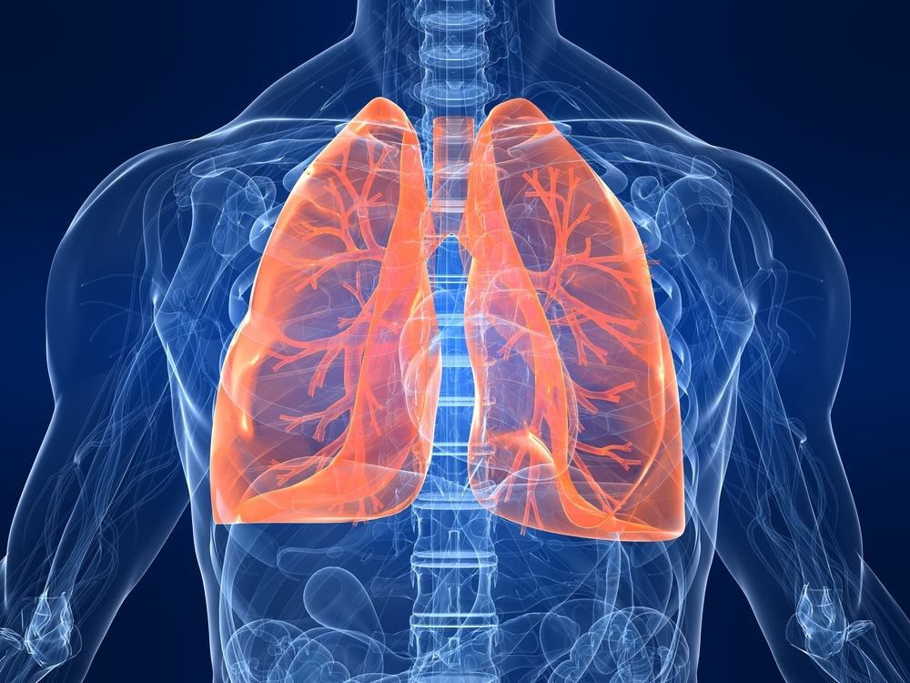 Дослідники знайшли нову важливу функцію легень