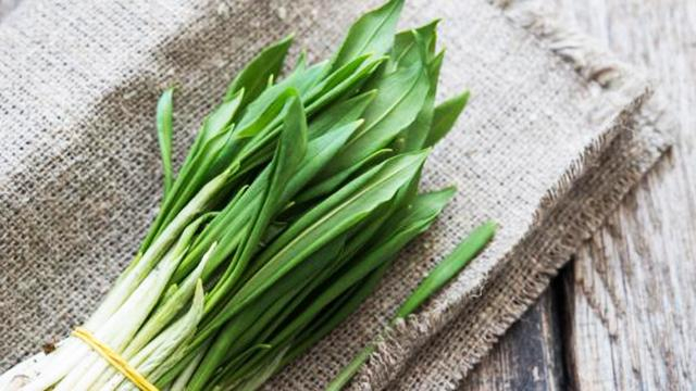 Чем полезна и опасна черемша