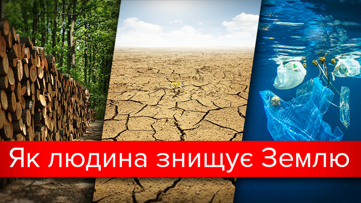 6 ужасающих фактов, как мы ежедневно уничтожаем нашу планету - Здоровье 24