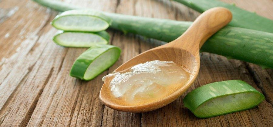 Алоэ: 5 полезных свойств алоэ о которых следует знать