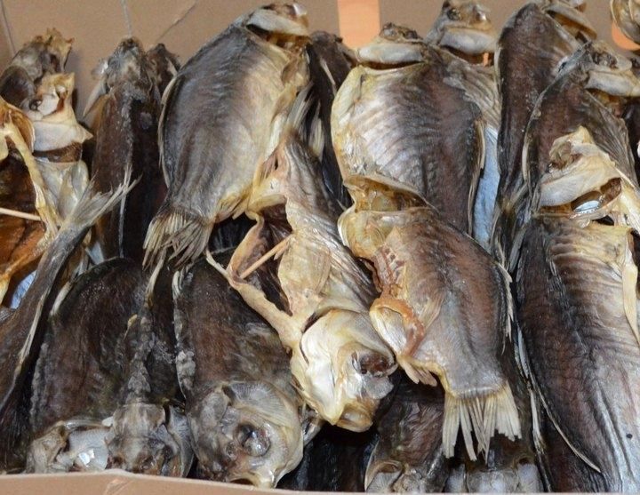 Ботулізмом заразились десять людей у Запоріжжі Ботулізмом заразились десять людей у Запоріжжі