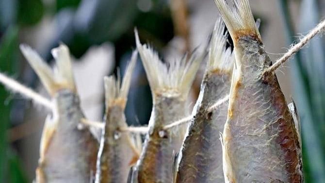 Україна має лише один варіант доставити сироватку від ботулізму в країну Україна має лише один варіант доставити сироватку від ботулізму в країну