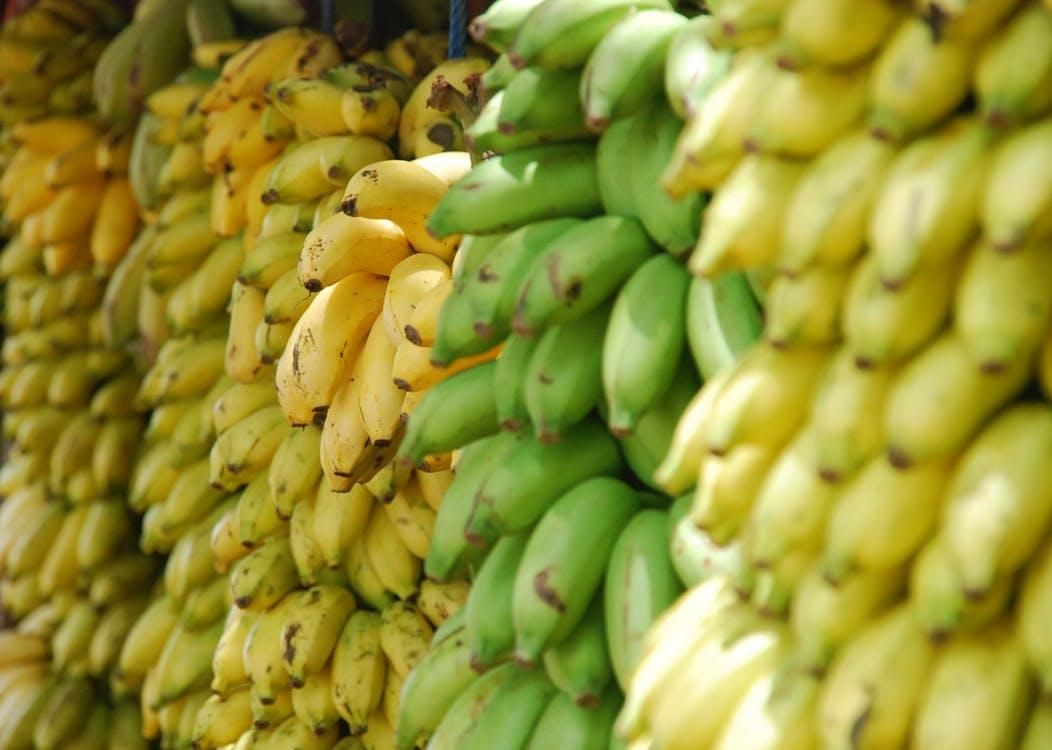 Вчені виростили банани, які зможуть рятувати життя
