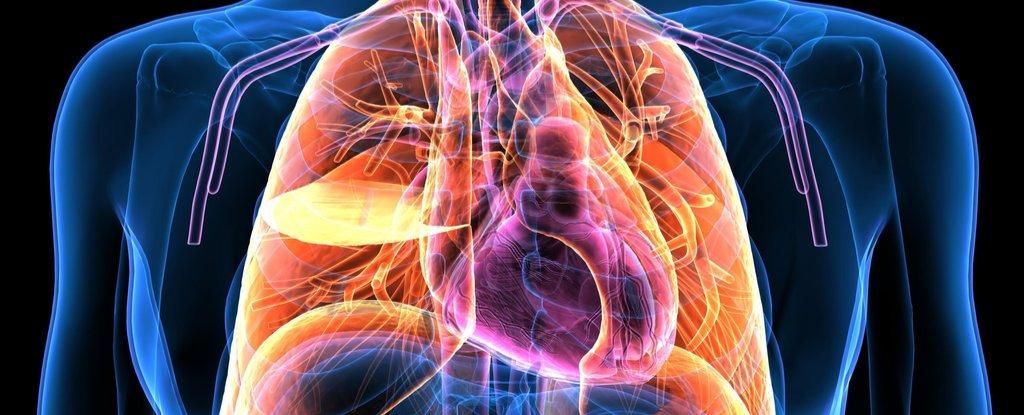 На органы тела теперь можно смотреть через камеру: новое изобретение На органы тела теперь можно смотреть через камеру: новое изобретение