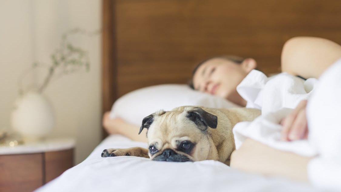 5 привычек, которые сохранят молодость мозга