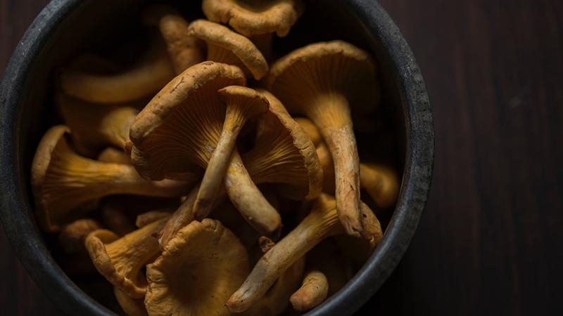 8 продуктов, которые укрепят ваш иммунитет