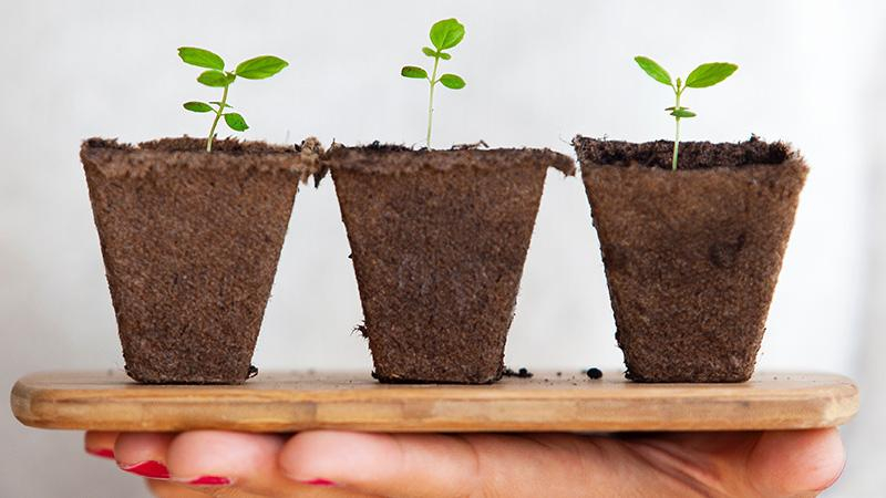 Что произойдет с организмом, если вы откажетесь от мяса