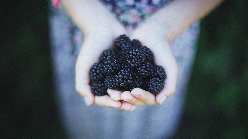 Ученые выяснили, сколько овощей и фруктов нужно есть ежедневно