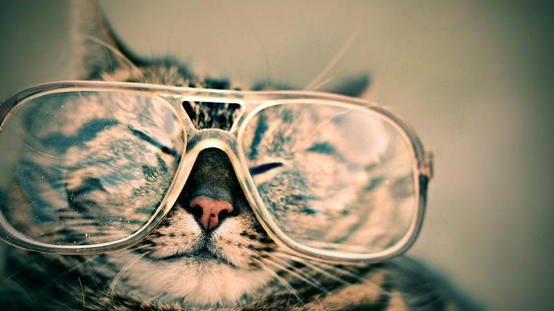 Простые вещи, которые поднимут вам настроение даже в пасмурный осенний день