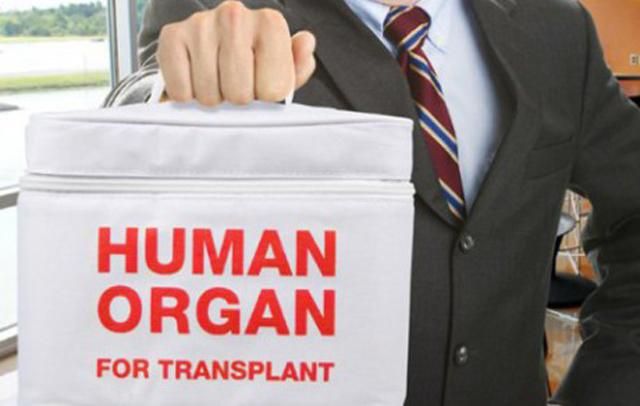 Торговля человеческими органами: журналисты купили две головы и позвоночник в рамках расследован