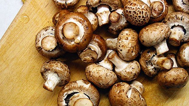 Употребление грибов способно сохранять молодость, – ученые