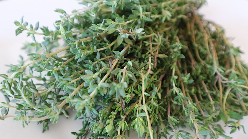 Целебные свойства чабреца, о которых вы могли не знать