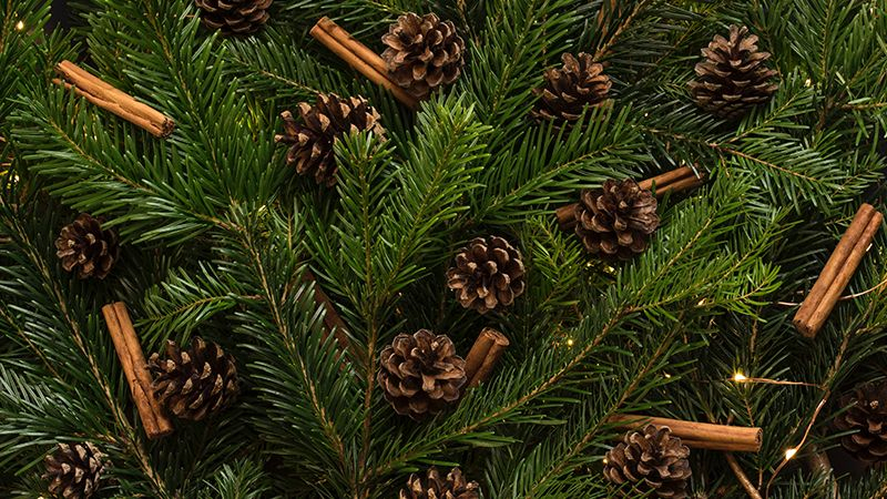 Ученые назвали специю, которая поможет похудеть