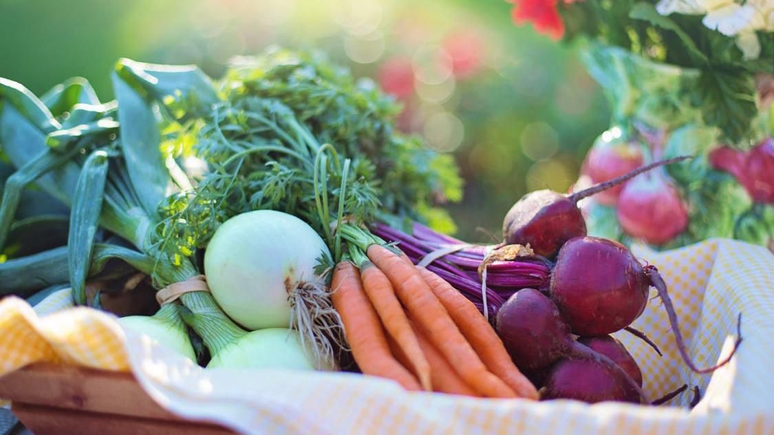 Чому тепличні овочі такі ж корисні, як свіжі з грядки