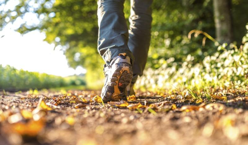 Почему нужно больше ходить пешком