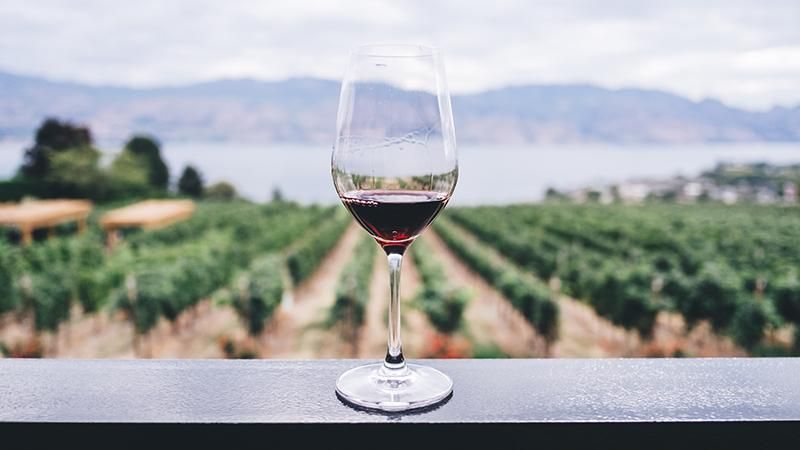 Як вживання вина впливає на зуби та ясна: висновок вчених 