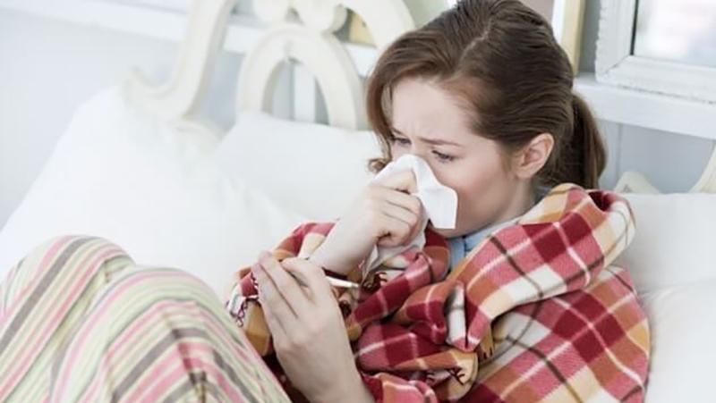 Як лікувати застуду і тиск калиною – дієві методи від застуди