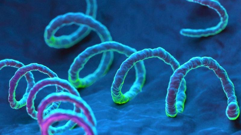 Искусственный интеллект сможет определять вспышки венерической болезни