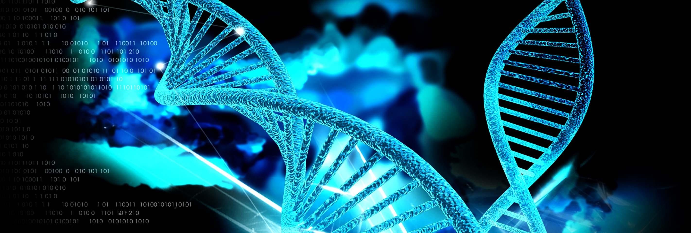 У клітинах людини виявили незвичну форму ДНК