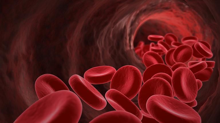 Люди с какой группой крови имеют повышенный риск смертности от тяжелой травмы