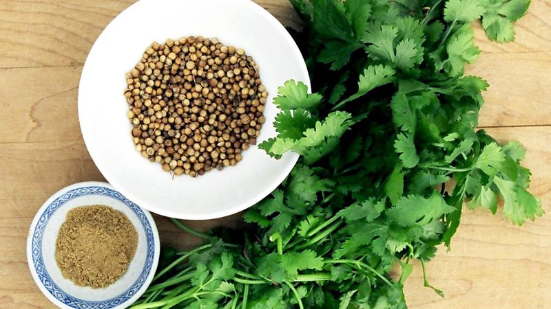 Какое растение защитит от рака и сердечных заболеваний