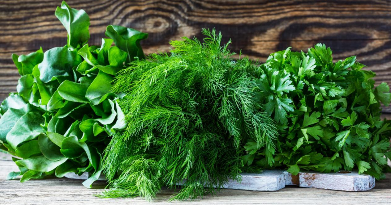 Веские аргументы для здоровья употреблять зелень ежедневно