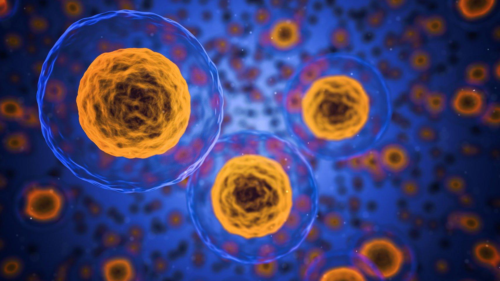 Ученые сделали неожиданное заявление относительно клеток мозга