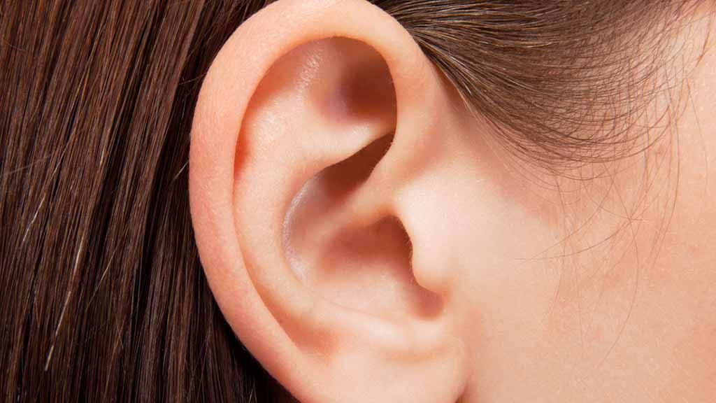 Ученые вырастили на руке американки ухо: потрясающее фото